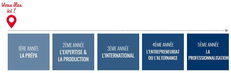 cursus école web multimédia management