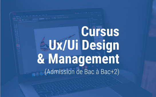 Cursus Ux Ui Design